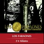 24 Kilates