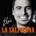 La Salpicona